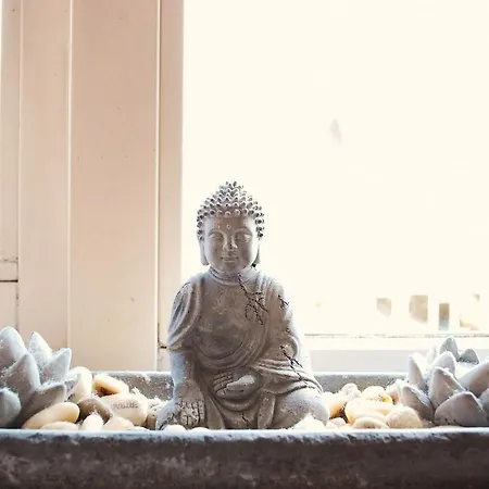 Zenroom Appartement Zaandijk