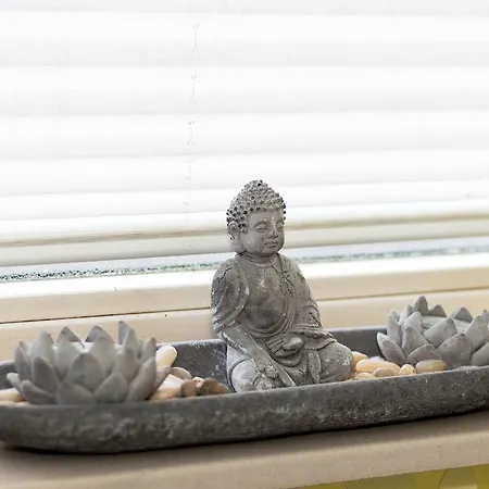 Zenroom Zaandijk